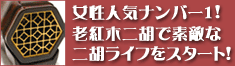 二胡 初心者10点セット 老紅木 王家旺精制へ