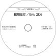 画像2: エリューの二胡伴奏シリーズ　揚州夜灯［Eriu 2&6］　（ギター伴奏CD付） (2)