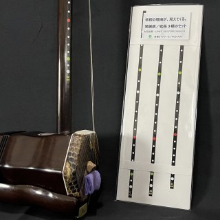 二胡 初心者プレミアムセット 蘇州製上質紅木 彫刻デザイン 【新入荷