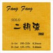 画像3: 二胡弦　FangFang　SOLO (3)