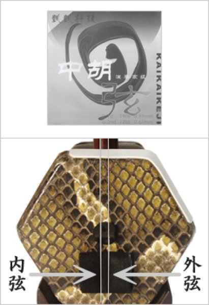 画像2: 中胡弦GD KAIKAI(凱凱) (2)