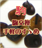 二胡駒はお手軽交換のすすめ!