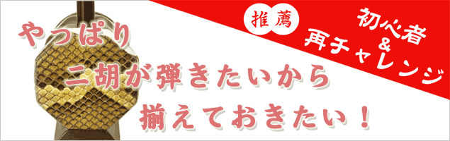 やっぱり二胡が弾きたいから揃えておきたい！