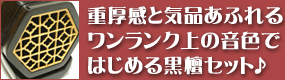 二胡 初心者プレミアムセット 蘇州製黒檀（烏木） 銀糸デザインへGO!